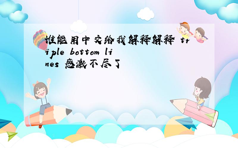谁能用中文给我解释解释 triple bottom lines 感激不尽了