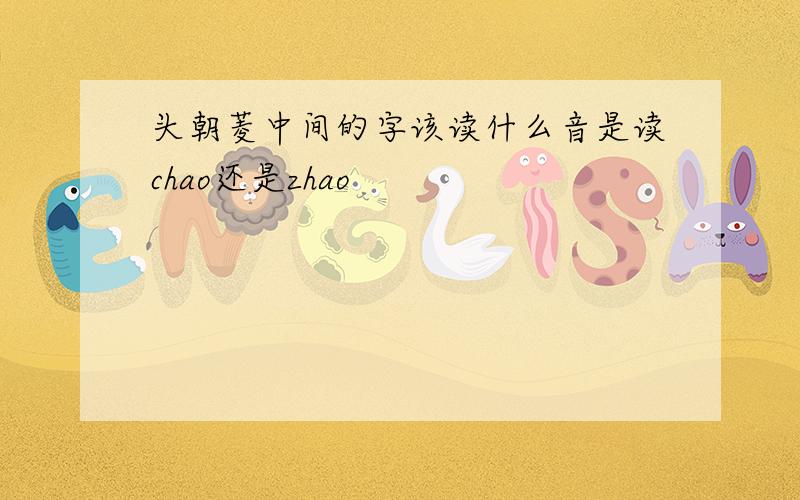 头朝菱中间的字该读什么音是读chao还是zhao