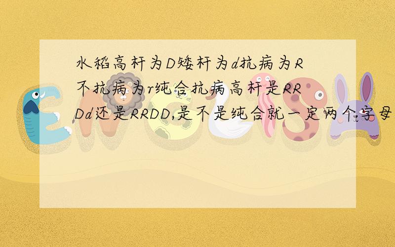 水稻高杆为D矮杆为d抗病为R不抗病为r纯合抗病高杆是RRDd还是RRDD,是不是纯合就一定两个字母大小写要一致