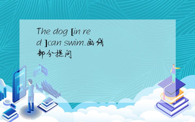 The dog [in red ]can swim.画线部分提问