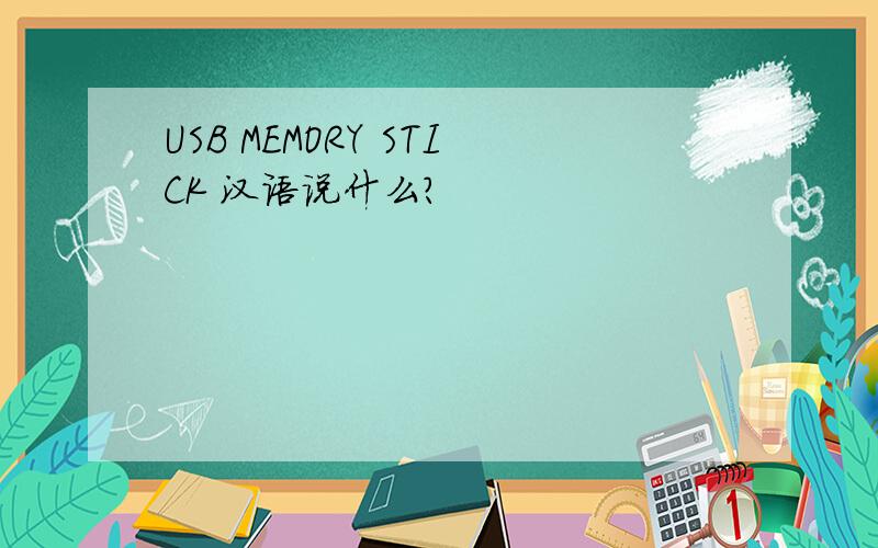 USB MEMORY STICK 汉语说什么?