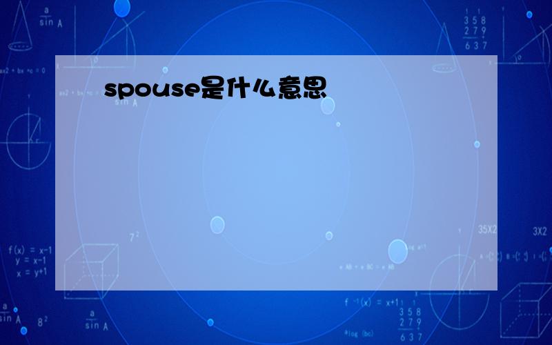spouse是什么意思