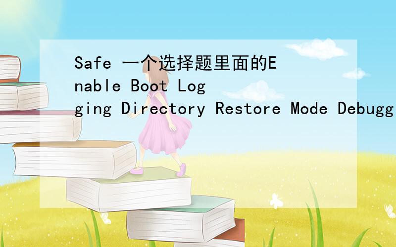 Safe 一个选择题里面的Enable Boot Logging Directory Restore Mode Debugging Mode