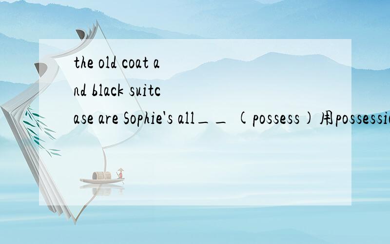 the old coat and black suitcase are Sophie's all__ (possess)用possession还是possessions 为什么