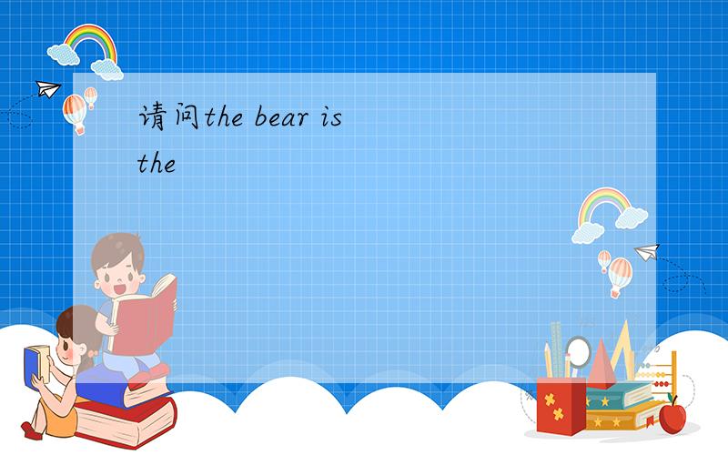 请问the bear is the