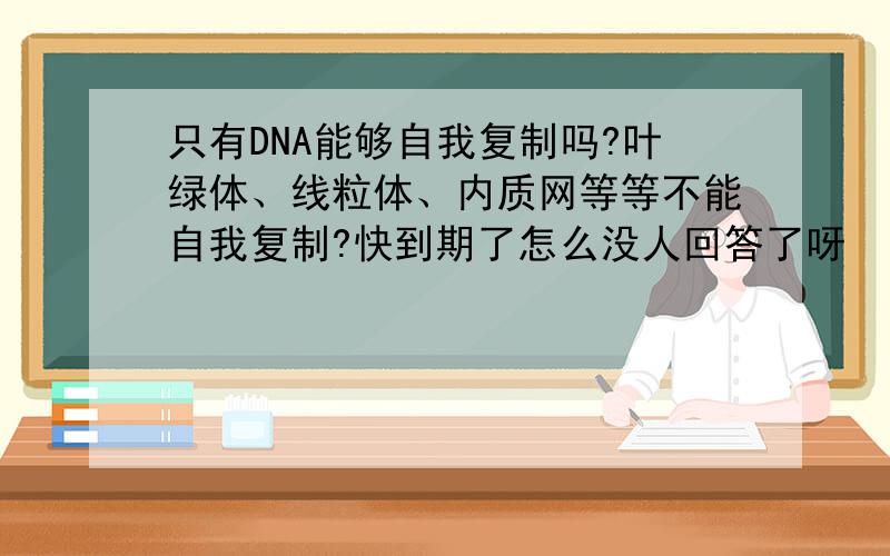 只有DNA能够自我复制吗?叶绿体、线粒体、内质网等等不能自我复制?快到期了怎么没人回答了呀