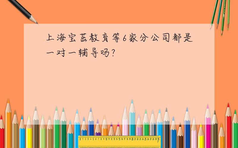上海宝茁教育等6家分公司都是一对一辅导吗?