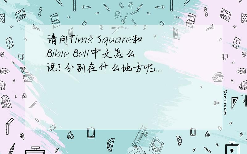 请问Time Square和Bible Belt中文怎么说?分别在什么地方呢...
