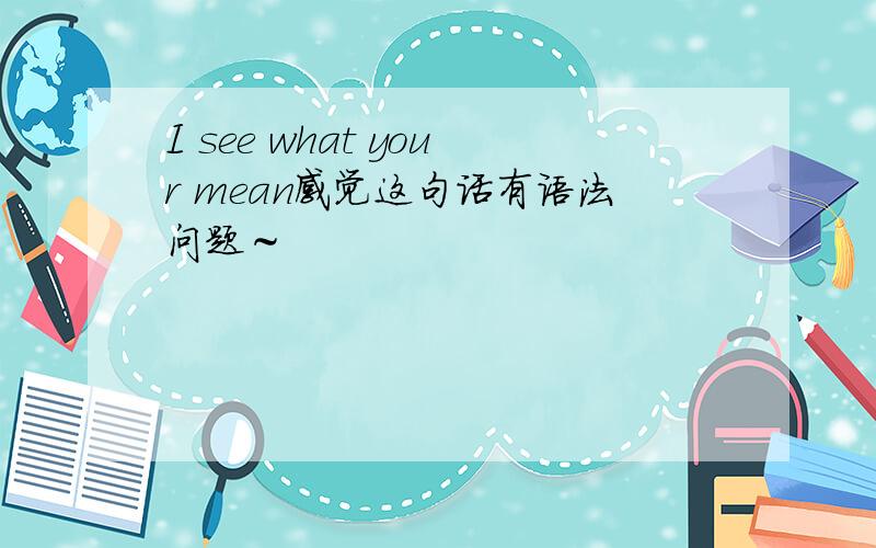 I see what your mean感觉这句话有语法问题～