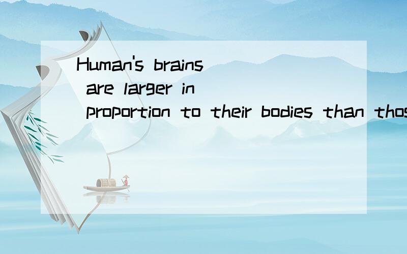 Human's brains are larger in proportion to their bodies than those of whales.求翻译