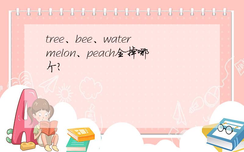 tree、bee、watermelon、peach全掉哪个?