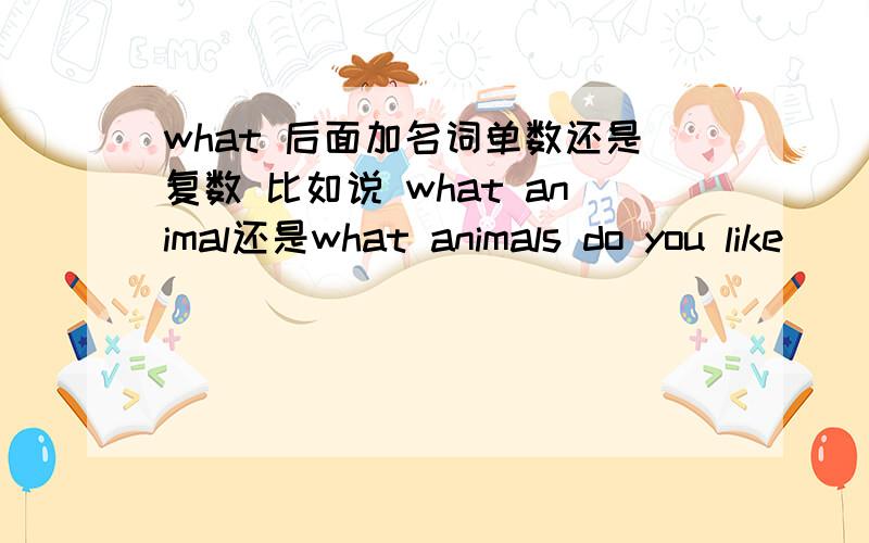 what 后面加名词单数还是复数 比如说 what animal还是what animals do you like