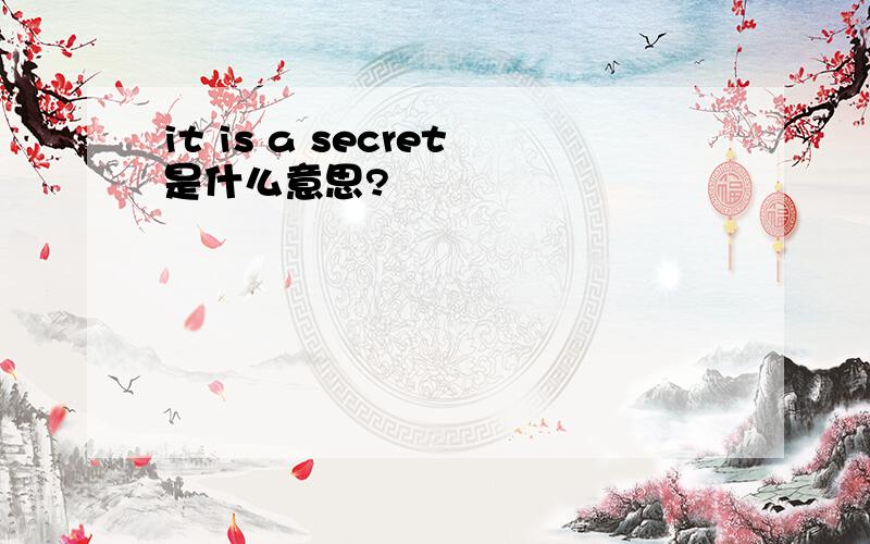 it is a secret是什么意思?