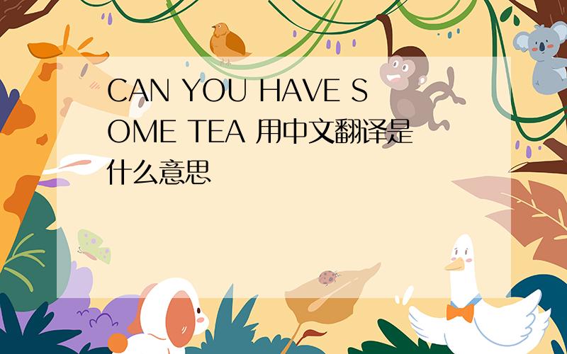 CAN YOU HAVE SOME TEA 用中文翻译是什么意思