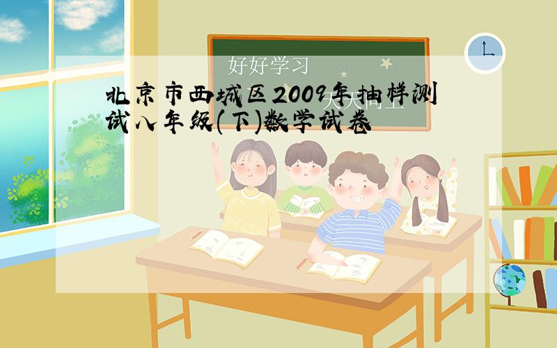 北京市西城区2009年抽样测试八年级(下)数学试卷