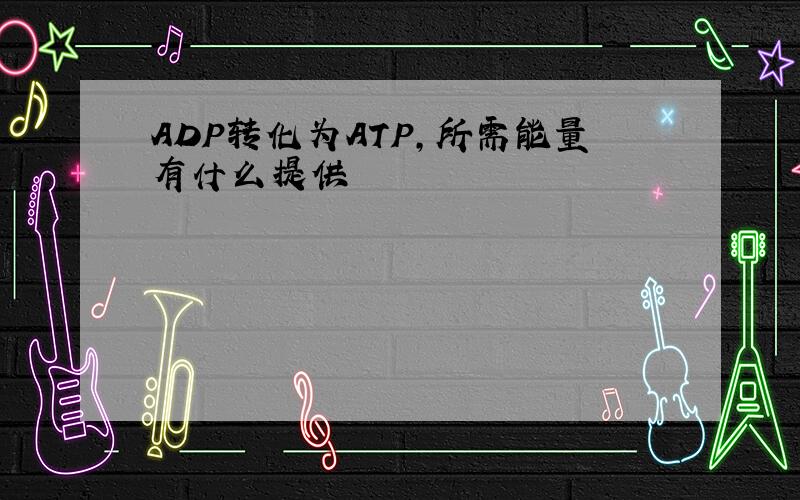 ADP转化为ATP,所需能量有什么提供