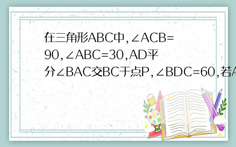 在三角形ABC中,∠ACB=90,∠ABC=30,AD平分∠BAC交BC于点P,∠BDC=60,若AB=4倍根号3,则BD的长为