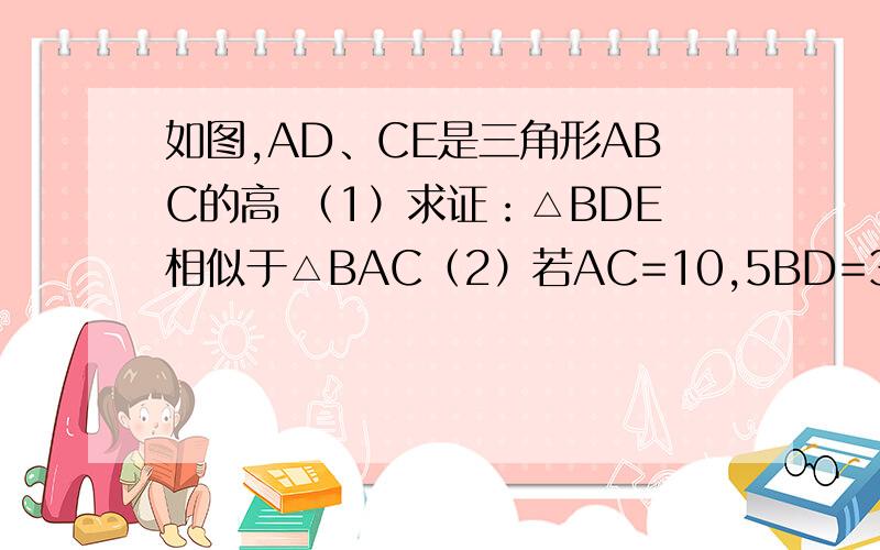 如图,AD、CE是三角形ABC的高 （1）求证：△BDE相似于△BAC（2）若AC=10,5BD=3BA,求DE长（CE⊥AB,AD⊥BC,AB、CE交点未标字母...图自己画吧!答对了再给分｛20｝）