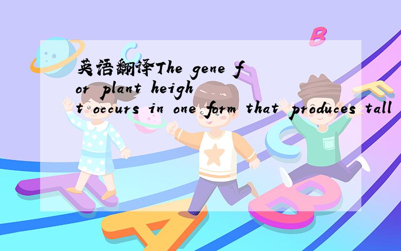 英语翻译The gene for plant height occurs in one form that produces tall plants and in another form that produces short plants.