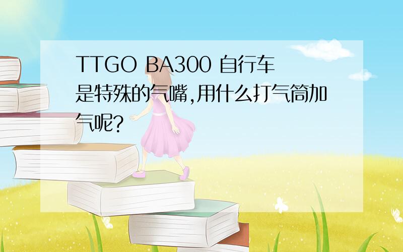 TTGO BA300 自行车是特殊的气嘴,用什么打气筒加气呢?