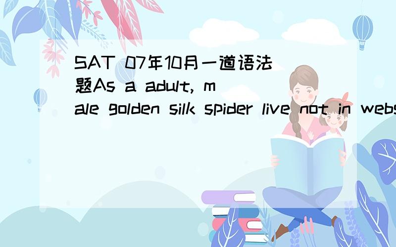 SAT 07年10月一道语法题As a adult, male golden silk spider live not in webs, 为什么live not可以算是对的?