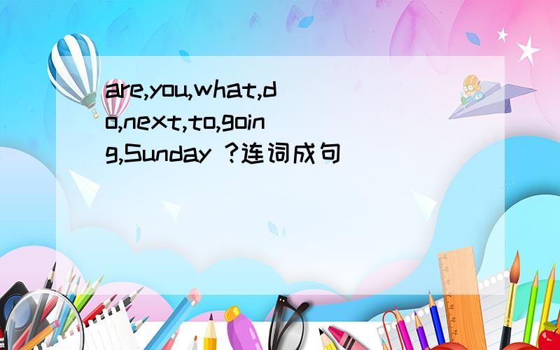are,you,what,do,next,to,going,Sunday ?连词成句