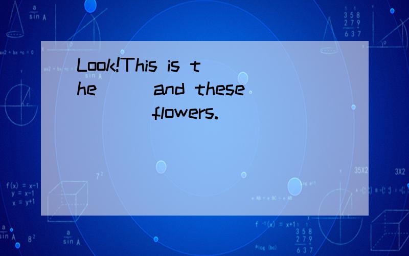 Look!This is the___and these____flowers.