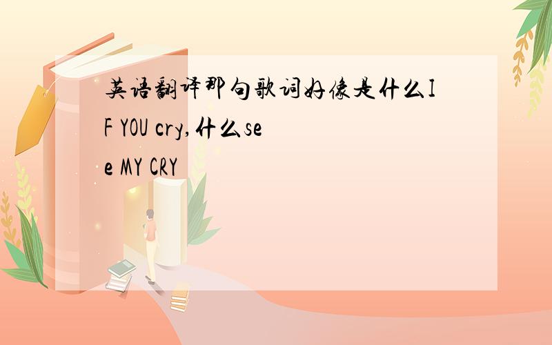 英语翻译那句歌词好像是什么IF YOU cry,什么see MY CRY
