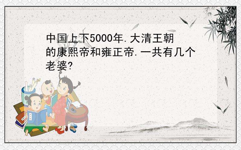 中国上下5000年.大清王朝的康熙帝和雍正帝.一共有几个老婆?