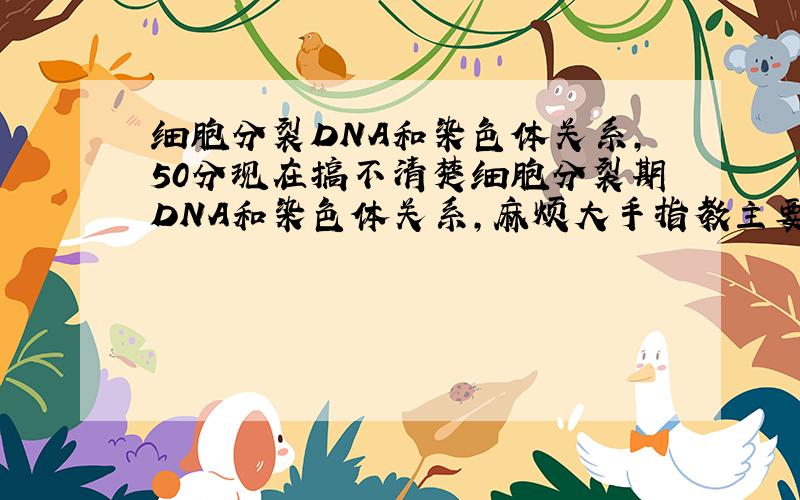 细胞分裂DNA和染色体关系,50分现在搞不清楚细胞分裂期DNA和染色体关系,麻烦大手指教主要是DNA,染色体间的数量关系麻烦从前期,中期,后期,末期来接的先给15,一定加50分