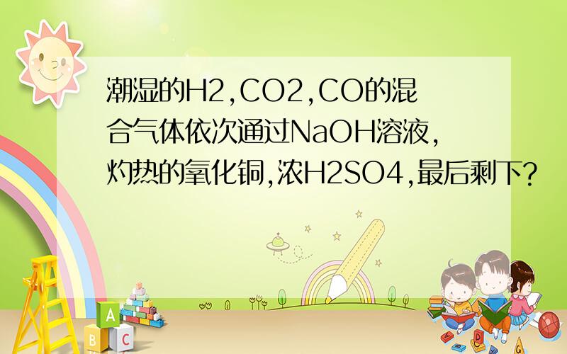 潮湿的H2,CO2,CO的混合气体依次通过NaOH溶液,灼热的氧化铜,浓H2SO4,最后剩下?