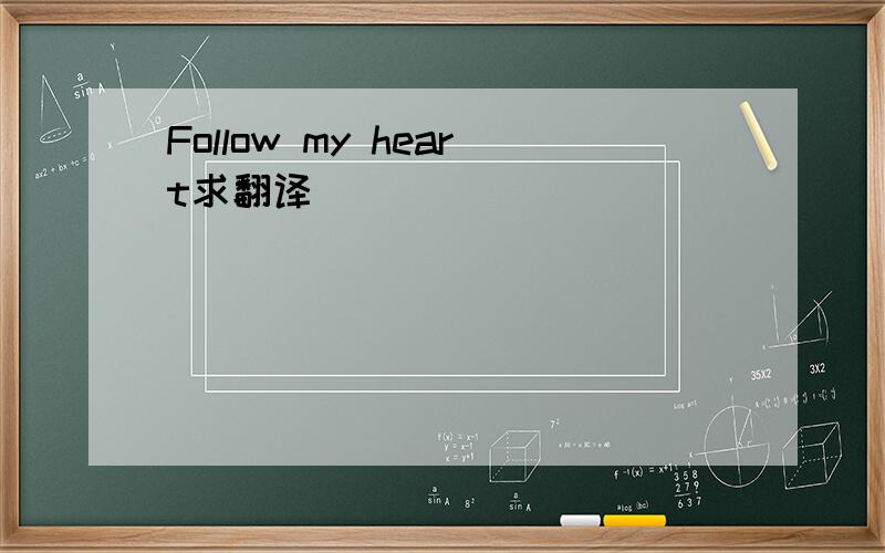 Follow my heart求翻译