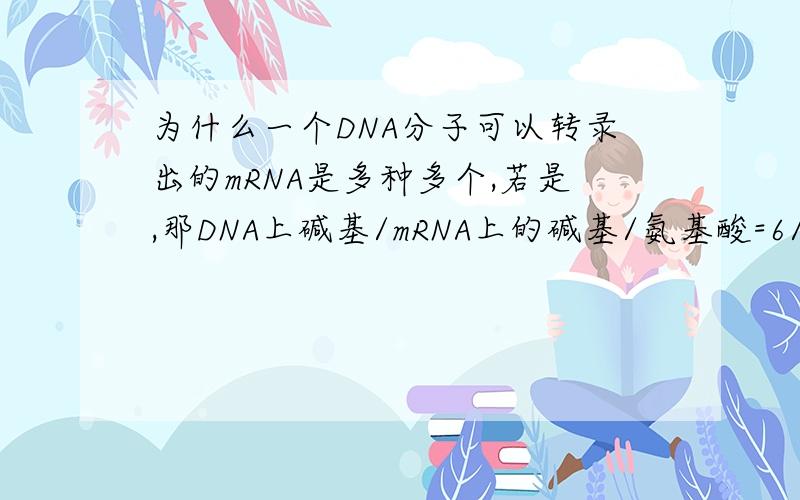 为什么一个DNA分子可以转录出的mRNA是多种多个,若是,那DNA上碱基/mRNA上的碱基/氨基酸=6/3/1,岂不有问题