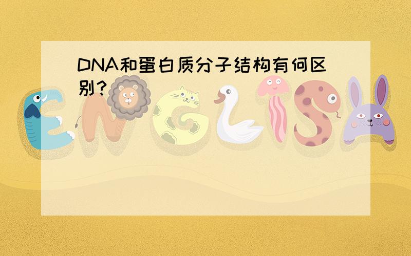 DNA和蛋白质分子结构有何区别?
