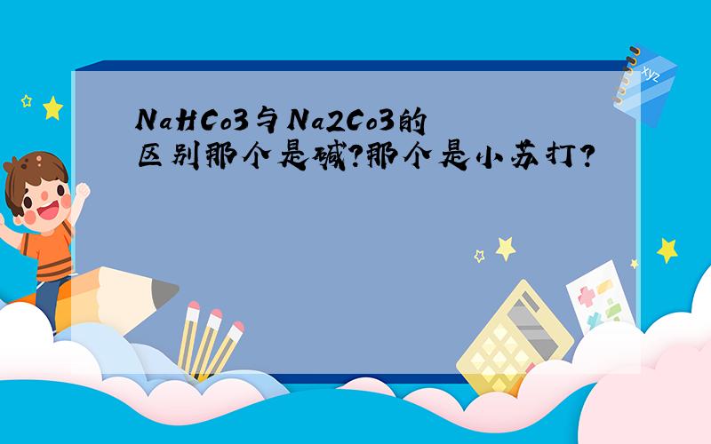 NaHCo3与Na2Co3的区别那个是碱?那个是小苏打?