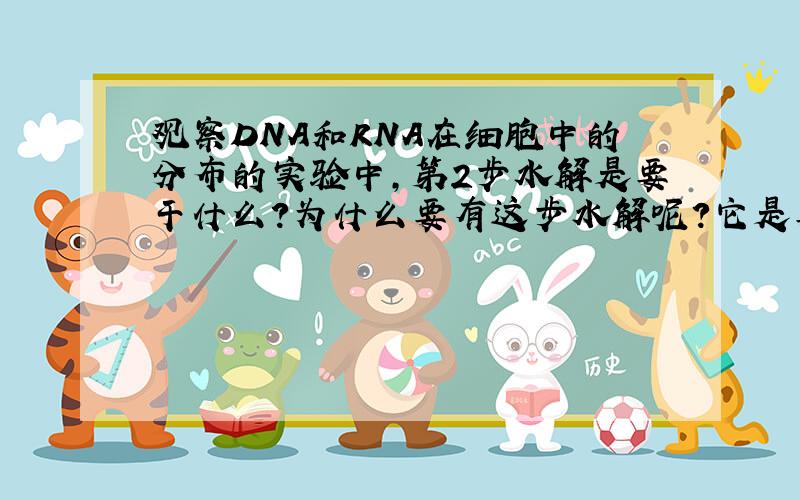 观察DNA和RNA在细胞中的分布的实验中,第2步水解是要干什么?为什么要有这步水解呢?它是要干什么?