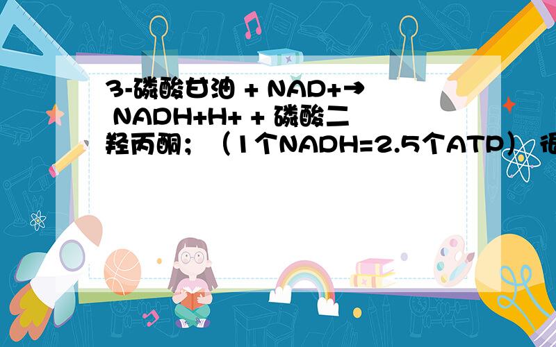 3-磷酸甘油 + NAD+→ NADH+H+ + 磷酸二羟丙酮；（1个NADH=2.5个ATP） 很多参考书上的答案而为什么α-磷酸甘油在呼吸链穿梭是生成1.5ATP?