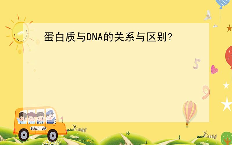 蛋白质与DNA的关系与区别?