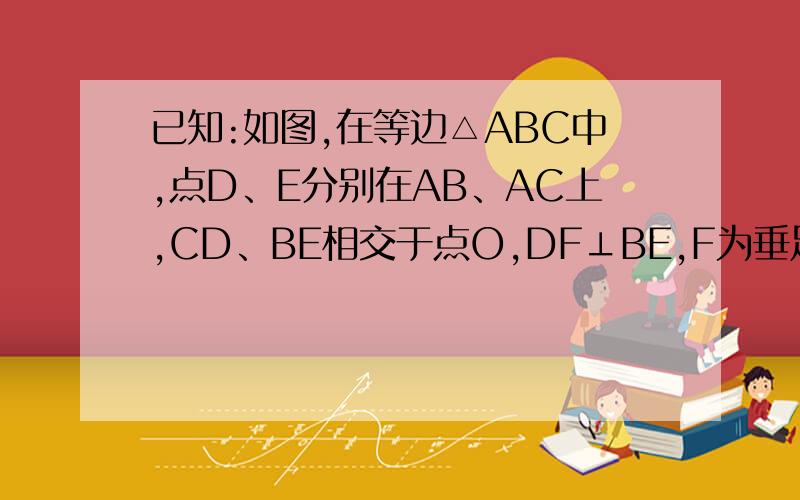 已知:如图,在等边△ABC中,点D、E分别在AB、AC上,CD、BE相交于点O,DF⊥BE,F为垂足,OD=2OF,求证：BD=AE