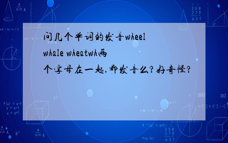 问几个单词的发音wheel whale wheatwh两个字母在一起,都发音么?好奇怪?