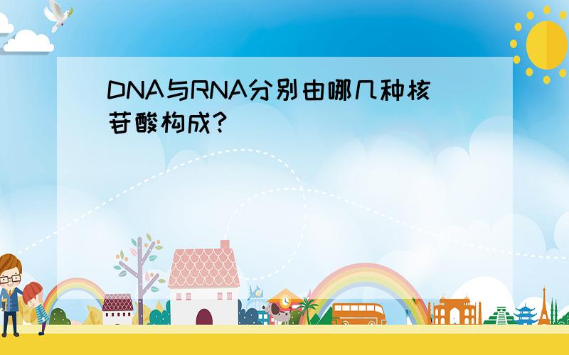 DNA与RNA分别由哪几种核苷酸构成?