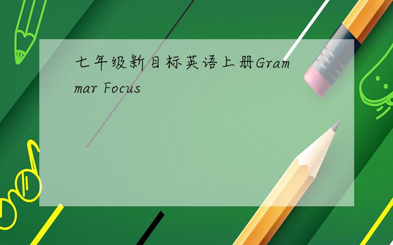 七年级新目标英语上册Grammar Focus