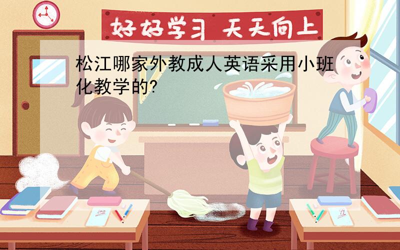 松江哪家外教成人英语采用小班化教学的?