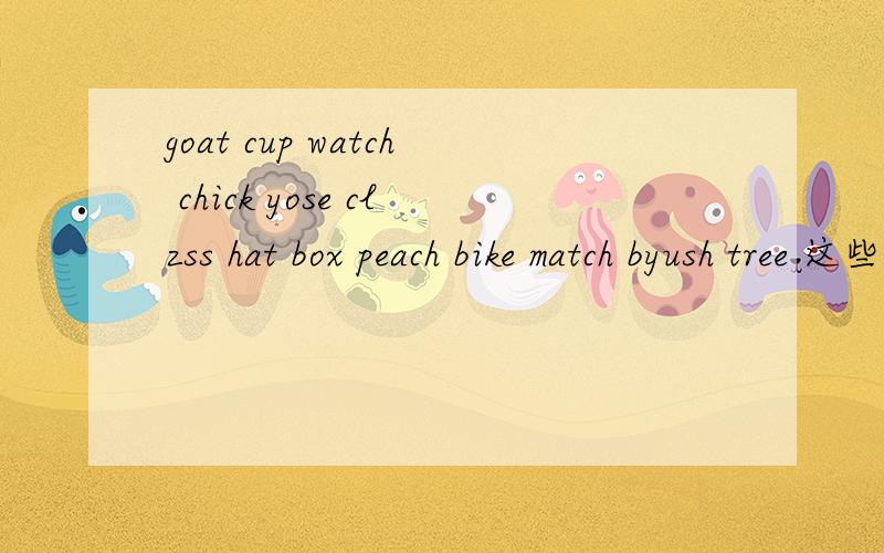 goat cup watch chick yose clzss hat box peach bike match byush tree 这些单词的复数形式