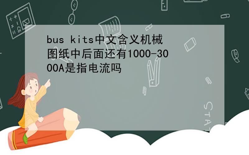 bus kits中文含义机械图纸中后面还有1000-3000A是指电流吗