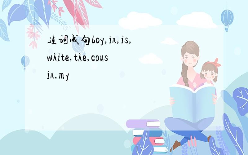 连词成句boy,in,is,white,the,cousin,my