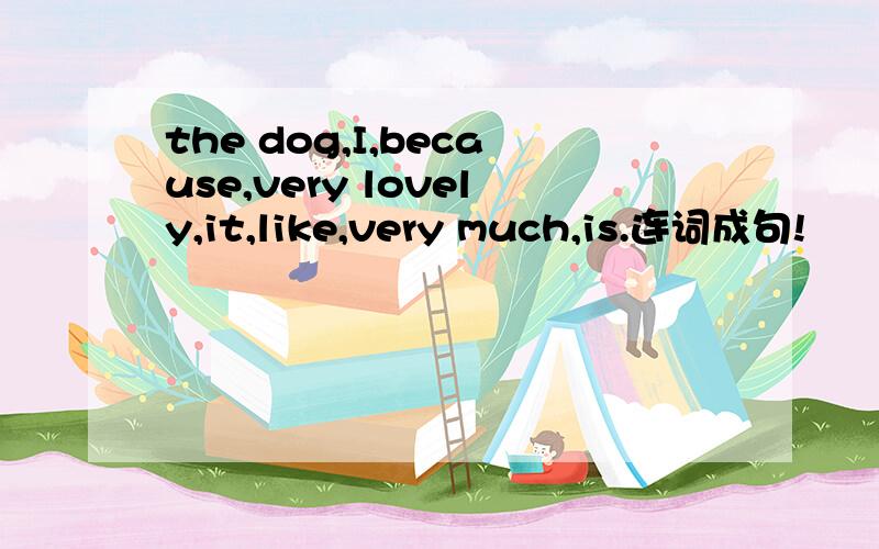 the dog,I,because,very lovely,it,like,very much,is.连词成句!