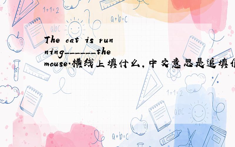 The cat is running______the mouse.横线上填什么,中文意思是追填介词