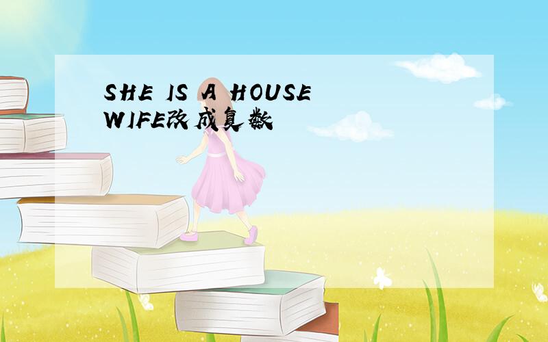 SHE IS A HOUSEWIFE改成复数