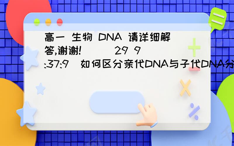 高一 生物 DNA 请详细解答,谢谢!    (29 9:37:9)如何区分亲代DNA与子代DNA分子?